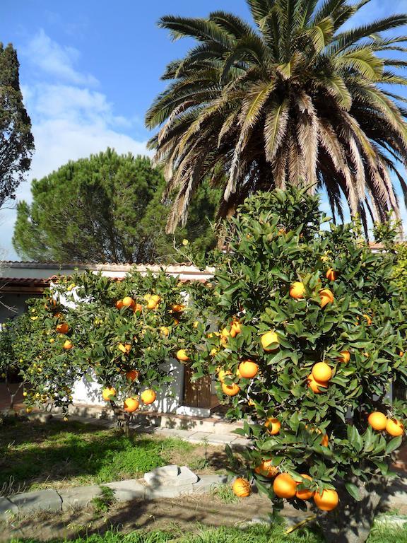Il Giardino Di Emilio Acomodação com café da manhã Marrùbiu Quarto foto